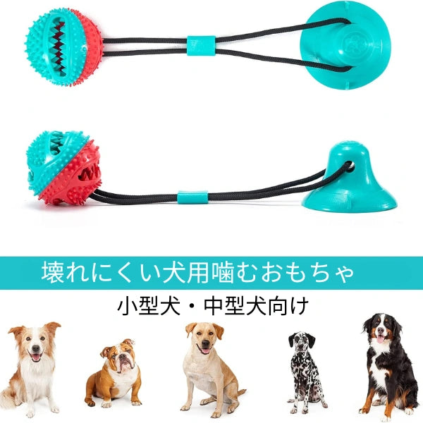 🐾Kamigami Ball®