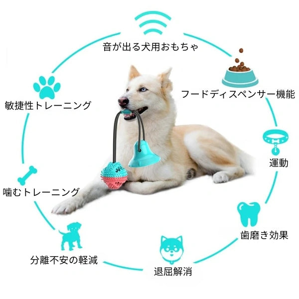 🐾Kamigami Ball®
